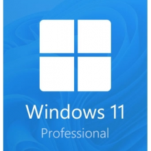 Clave Windows 11 profesional ( Key ) - 1 PC