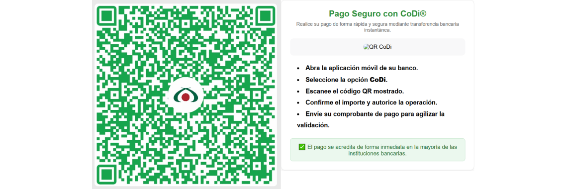 pago con QR
