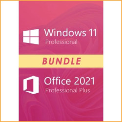 Windows 11 Professional + Office 2021 Professional Plus