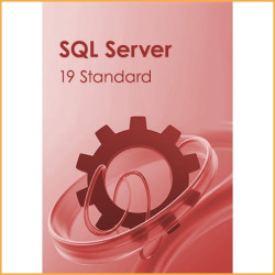 SQL Server 19 Standard Key - 5 PCs