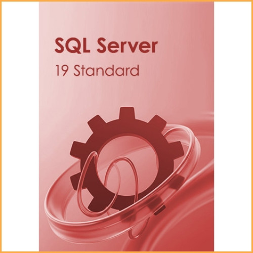 SQL Server 19 Standard Key - 5 PCs